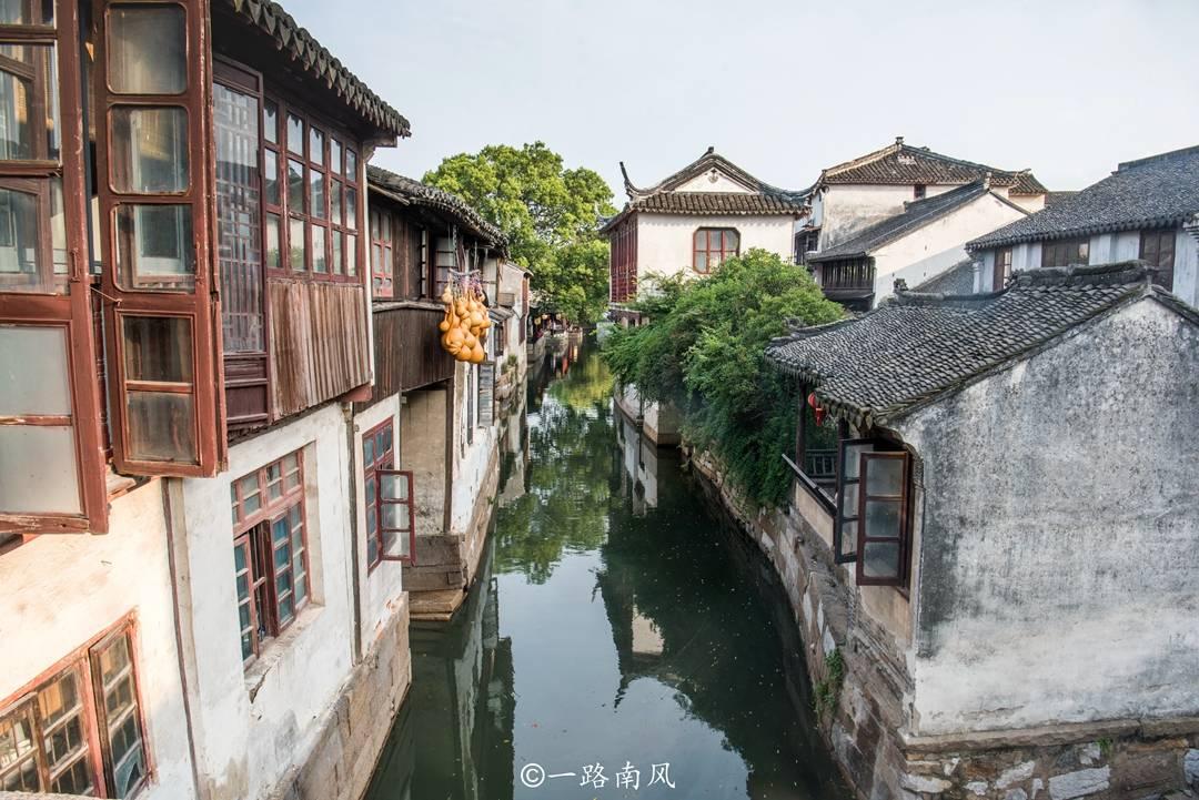 新风暖红莲
